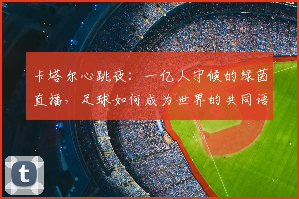 卡塔尔心跳夜：一亿人守候的绿茵直播，足球如何成为世界的共同语言