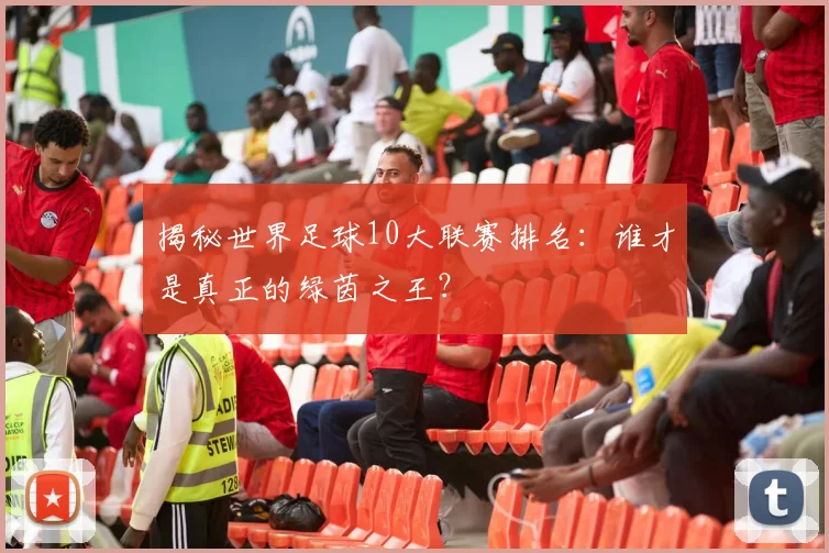 揭秘世界足球10大联赛排名：谁才是真正的绿茵之王？