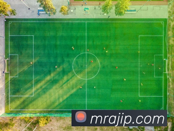 开云世界杯官网平台生态图